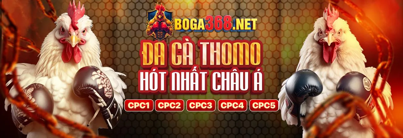 Sân đấu đá gà trực tuyến sôi động tại fun8